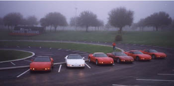 cypress3.jpg (11447 bytes)