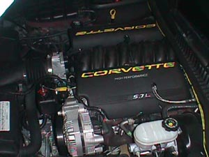 dayone3.jpg (23377 bytes)