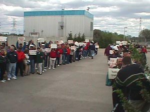 plant2.jpg (22804 bytes)