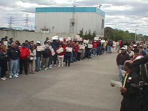 plant3.jpg (23108 bytes)