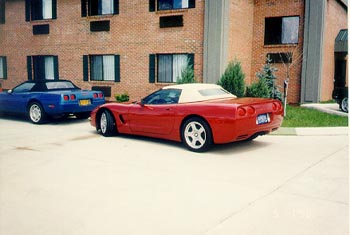 magred2.jpg (24781 bytes)