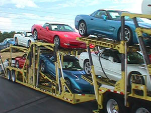 Red, White and Blue C5's